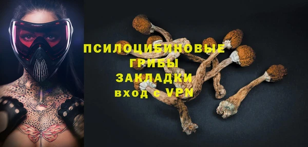 спиды Михайловка