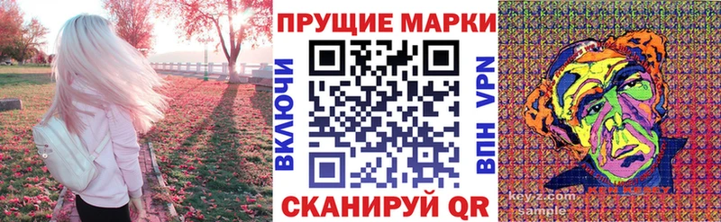 где можно купить наркотик  Новопавловск  omg зеркало  Наркотические марки 1500мкг 