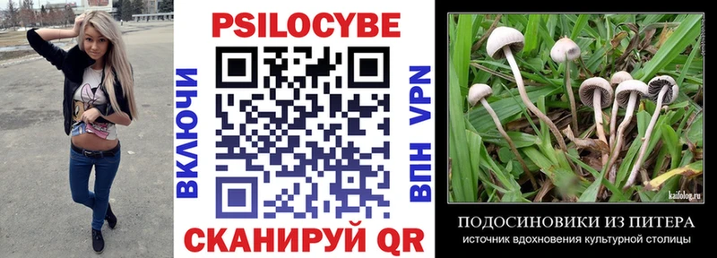хочу   Новопавловск  Галлюциногенные грибы GOLDEN TEACHER 